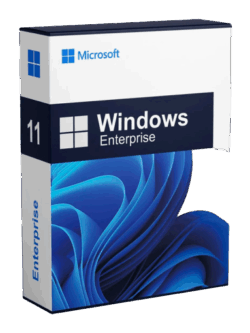 microsoft windows 11 enterprise licenza license digital key