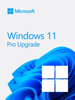 Windows 11 Home a Windows 11 Pro (Aggiornamento)